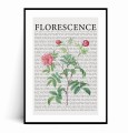 Plakat FLORESCENCE Kwiaty Vintage No.4 z marginesem.jpg