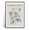 Plakat FLORESCENCE Kwiaty Vintage No.4.jpg