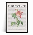 Plakat FLORESCENCE Kwiaty Vintage No.6.jpg