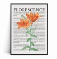 Plakat FLORESCENCE Kwiaty Vintage No.7.jpg