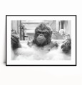 Plakat ORANGUTAN MAŁPA W WANNIE z marginesem czarno biały poziomy.jpg