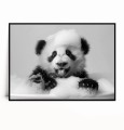 Plakat UROCZA PANDA W WANNIE czarno biały poziomy.jpg