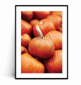 Plakat POMARAŃCZOWE DYNIE z marginesem.jpg