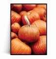 Plakat POMARAŃCZOWE DYNIE.jpg