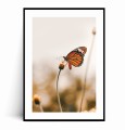 Plakat JESIENNY MOTYL z marginesem.jpg