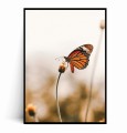Plakat JESIENNY MOTYL.jpg