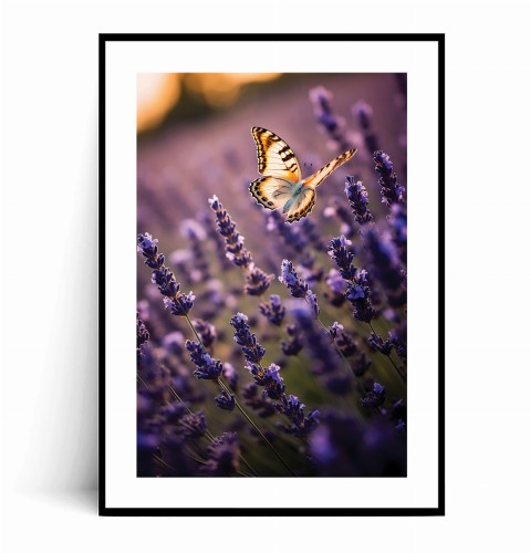 Plakat MOTYL I LAWENDA z marginesem.jpg