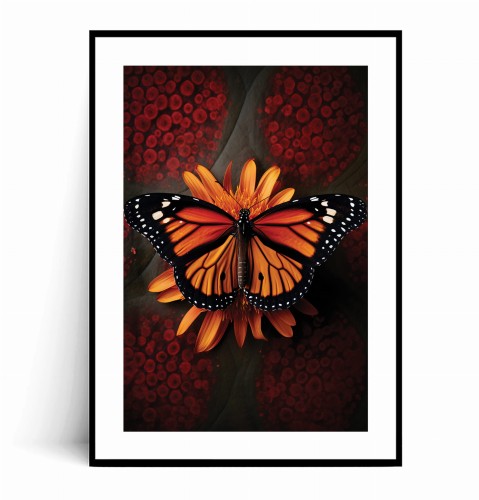 Plakat POMARAŃCZOWY MOTYL z marginesem.jpg