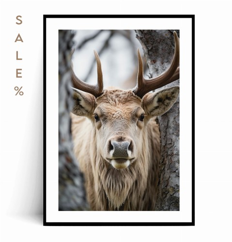 Plakat BIAŁY JELEŃ W DRZEWACH 40x50.jpg