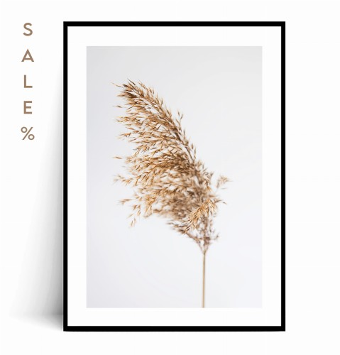 Plakat BOHO TRAWA 50x70.jpg