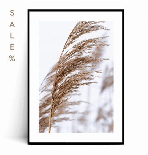 Plakat BOHO TRAWA no.1 50x70.jpg