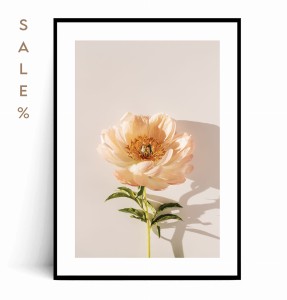 Plakat BRZOSKWINIOWA PIWONIA 50x70 SALE% 