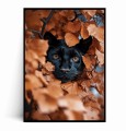 Plakat CZARNA PUMA W LIŚCIACH.jpg