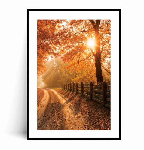 Plakat JESIENNA DROGA W PROMIENIACH SŁOŃCA z marginesem.jpg