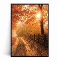 Plakat JESIENNA DROGA W PROMIENIACH SŁOŃCA.jpg