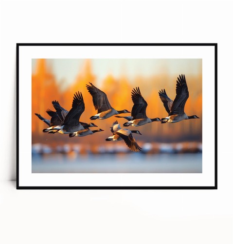 Plakat LECĄCE DZIKIE GĘSI poziomy z marginesem.jpg