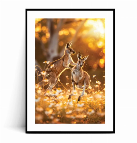 Plakat KANGURY W KWIATACH I PROMIENIACH SŁOŃCA z marginesem.jpg