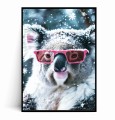 Plakat ZIMOWY KOALA W RÓŻOWYCH OKULARACH.jpg