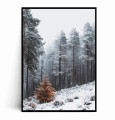 Plakat CHOINKA I ZIMOWY LAS.jpg