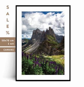 Plakat FIOLETOWE KWIATY ALPY DOLOMITY 50x70 SALE%  