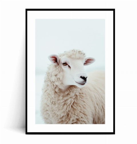 Plakat BIAŁA OWCA z marginesem.jpg