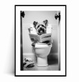 Plakat ZABAWNY YORK TERRIER Z GAZETĄ NA WC czarno biały z marginesem.jpg