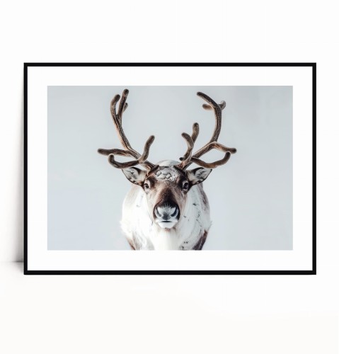 Plakat PORTRET Z RENIFEREM poziomy z marginesem.jpg