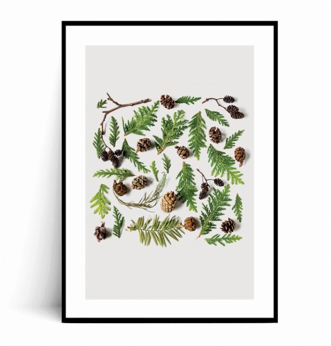 Plakat ZIELONE GAŁĄZKI I SZYSZKI z marginesem.jpg