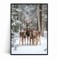 Plakat JELENIE W ZIMOWYM LESIE.jpg