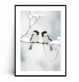 Plakat ZIMOWE SIKORKI NA GAŁĄZCE z marginesem.jpg