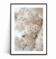 Plakat DELIKATNE KWIATY Z MOTYLEM Boho z marginesem.jpg