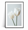 Plakat MINIMALISTYCZNE BIAŁE TULIPANY z marginesem.jpg