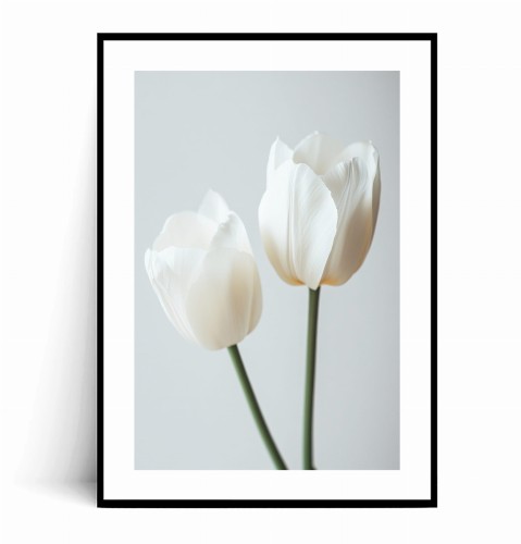 Plakat MINIMALISTYCZNE BIAŁE TULIPANY z marginesem.jpg