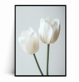 Plakat MINIMALISTYCZNE BIAŁE TULIPANY.jpg