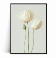 Plakat MINIMALISTYCZNE ELEGANCKIE BIAŁE KWIATY.jpg