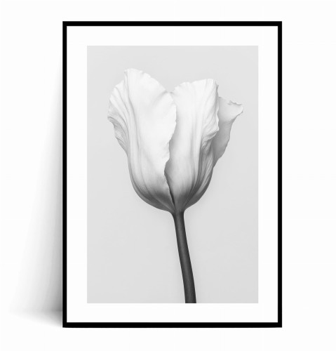 Plakat MINIMALISTYCZNY BIAŁY TULLIPAN Czarno biały z marginesem.jpg