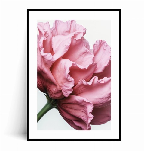 Plakat RÓŻOWY KWIAT z marginesem.jpg