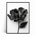 Plakat CZARNO BIAŁY KWIAT.jpg