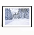 Plakat ZIMOWA DROGA PRZEZ LAS poziomy z marginesem.jpg