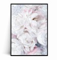 Plakat BIAŁE PIWONIE Z PŁATKAMI ŚNIEGU.jpg