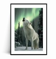 Plakat BIAŁY WILK I ZORZA POLARNA z marginesem.jpg