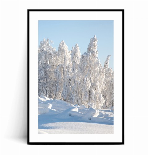 Plakat ZIMOWE DRZEWA W ŚNIEGU z marginesem.jpg