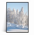 Plakat ZIMOWE DRZEWA W ŚNIEGU.jpg