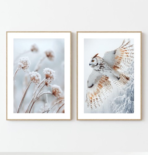 Komplet 2 plakatów SOWA I ROŚLINKI z marginesem.jpg