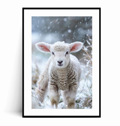 Plakat ZIMOWA OWCA W ŚNIEGU z marginesem.jpg