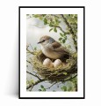 Plakat PIĘKNY WIOSENNY PTAK W GNIEŹDZIE z marginesem.jpg