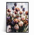 Plakat TULIPANY.jpg