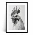 Plakat PORTRET Z KOGUTEM czarno biały z marginesem.jpg