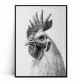 Plakat PORTRET Z KOGUTEM czarno biały.jpg