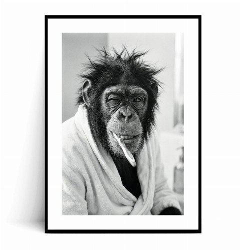 Plakat ZABAWNY SZYMPANS MYJĄCY ZĘBY z marginesem.jpg